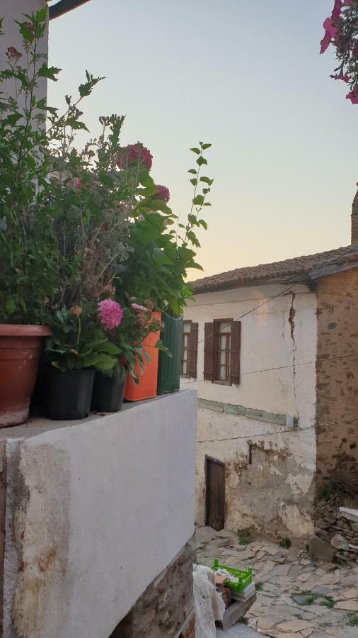 Sirin Ev Pansiyon Selçuk Exterior photo